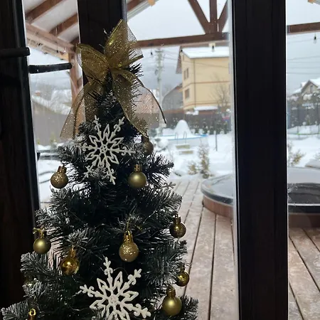 Welcome To карпати Apartment Skole